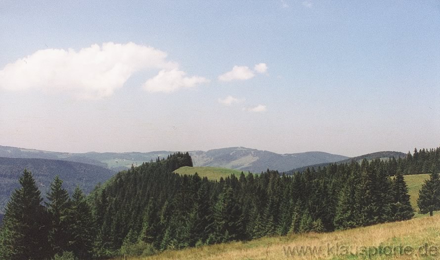 Der Schwarzwald im Sommer