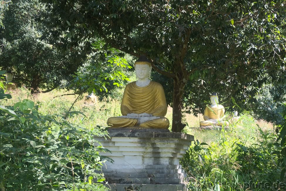 '1000 Buddhas'